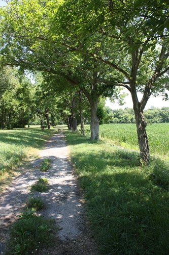 Property photo 1 - AUCTION POSTPONED